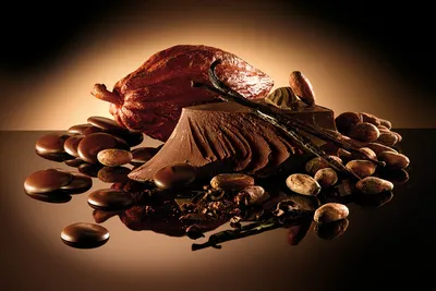 Belcolade Chocolate Powder (CHP-F1)