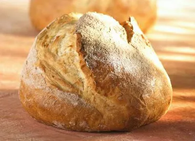 Sapore Medea Sourdough