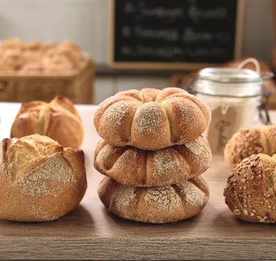 Sapore Rigoletto Sourdough