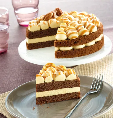 Tegral Satin Moist Cake Mocha