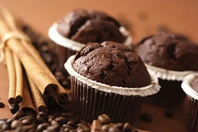 Tegral Daily Muffin Chocolate