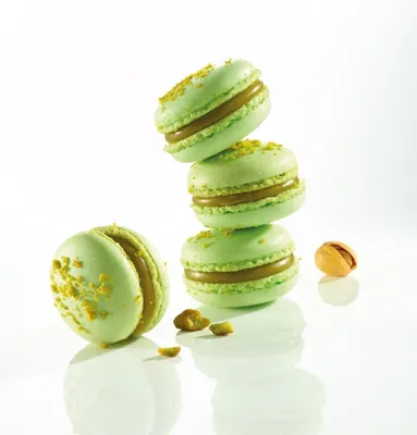 Tegral Macaron