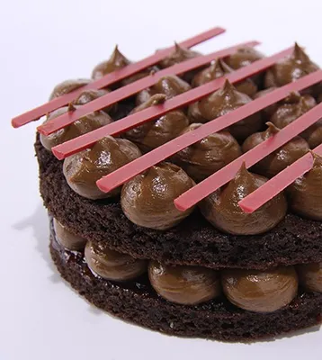 Tegral Satin Moist Cake Chocolate