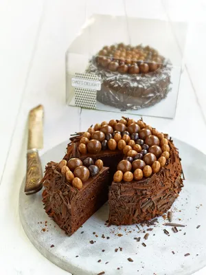 Tegral Sponge Chocolate