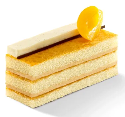 Tegral Sponge Gold