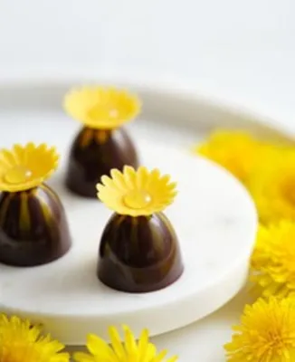 Plant Based Dandelion